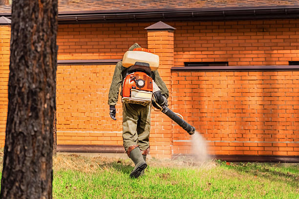 Bed Bug Clearance Verification and Documentation in Conway